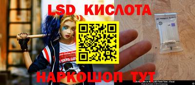 крисы Апшеронск