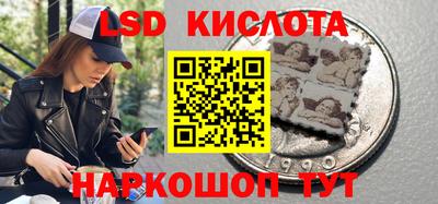 крисы Апшеронск