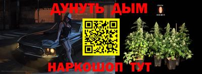 крисы Апшеронск