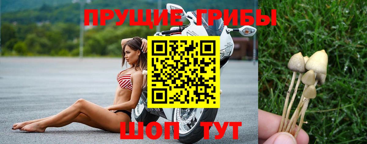 Псилоцибиновые грибы прущие грибы Белебей